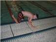 SwimSkills 024.jpg