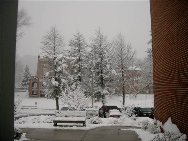 m737t 499328  13009   0000012300850085002501620000